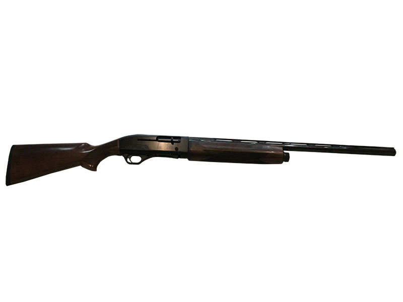 BSA